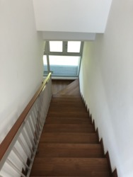 Westmont (D5), Terrace #170706362